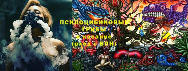 ПСИЛОЦИБИНОВЫЕ ГРИБЫ Алексин